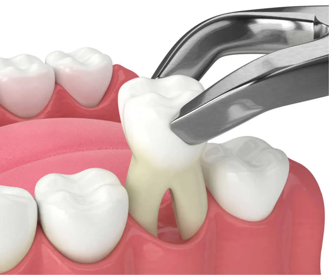 Smiling dentist